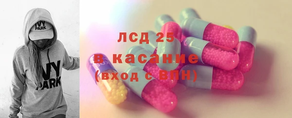 экстази Бородино