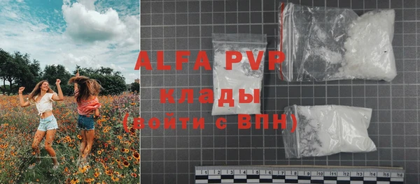 экстази Бородино